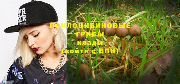 герыч Бронницы