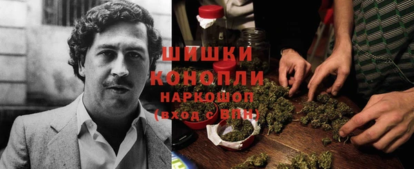 герыч Бронницы