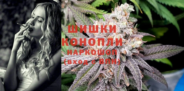 PSILOCYBIN Верхний Тагил